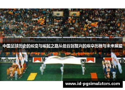 中国足球历史的蜕变与崛起之路从低谷到复兴的艰辛历程与未来展望