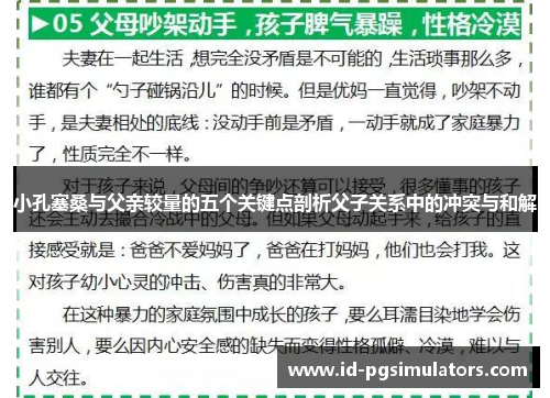 小孔塞桑与父亲较量的五个关键点剖析父子关系中的冲突与和解